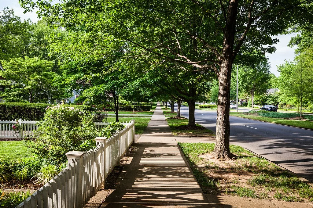A tree-lined Charlotte sidewalk running past a white picket fence